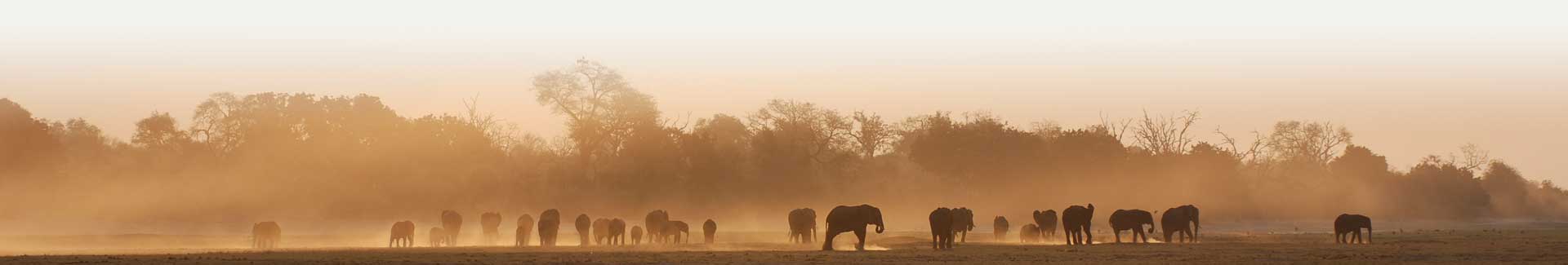 Safari in Namibia & Botswana